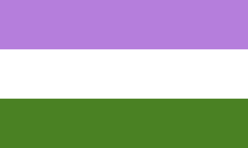 GenderQueerFlag