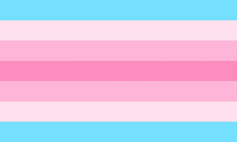 TransFemFlag