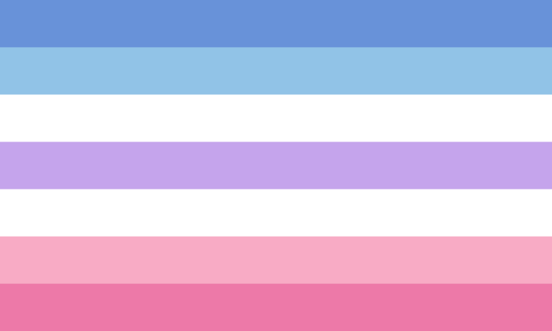 BigenderFlag