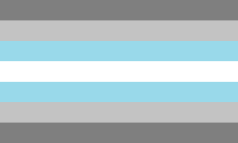 DemiBoyFlag